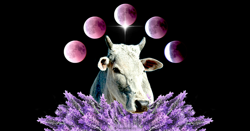A Taurus Lunar Eclipse of Evolutionary Progress and Tangible Change